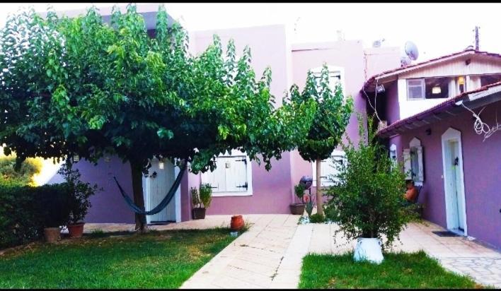 "Villa Kanavos" Apts Matala  Bagian luar foto