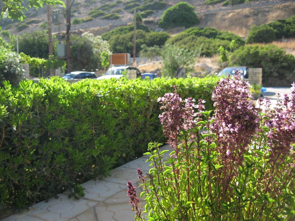 "Villa Kanavos" Apts Matala  Ruang foto